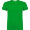 VERDE GRASS