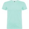 VERDE MENTA