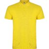 Amarillo