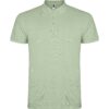 VERDE MIST
