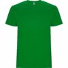 VERDE GRASS