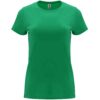 VERDE KELLY