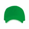 VERDE HELECHO